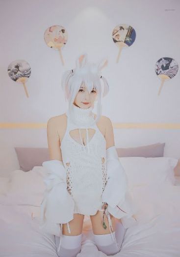 唐朝诡事录免费观看
