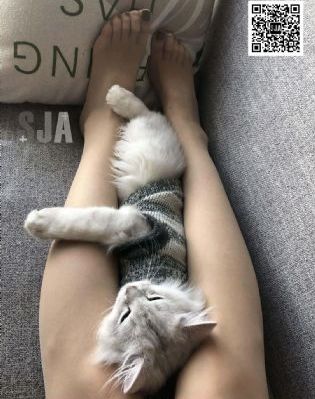 我独自升级在线观看