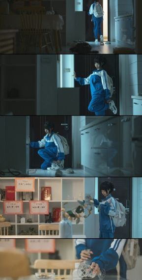 手机电视免费版