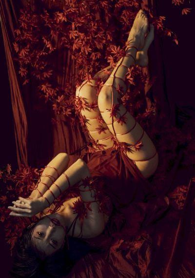 单身男女免费观看全集