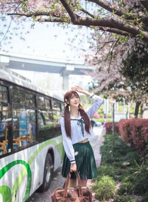 神探杨金邦电视剧免费观看