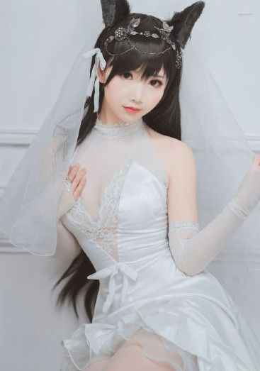 前方高能电视剧