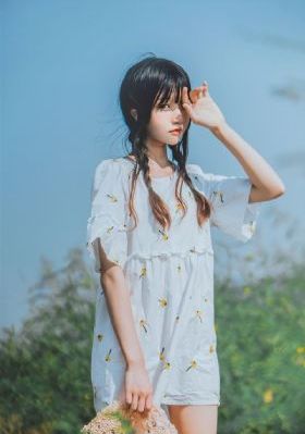 电视剧后宫