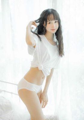 芝加哥警署第十一季