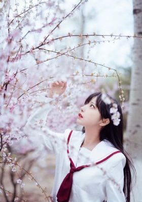 妈妈朋友.