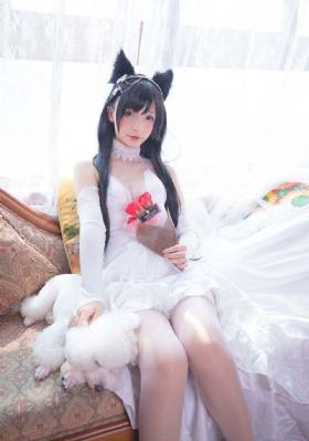 黑帮大佬和我的三百六十五
